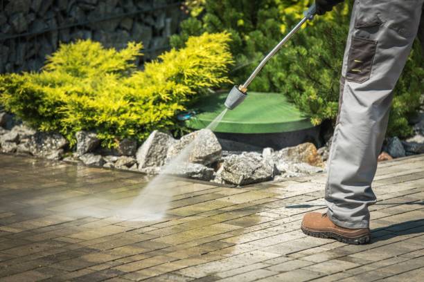 Best Pre-Holiday Cleaning  in Jackpot, NV
